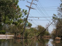 Иргэд, олон нийтэд сэрэмжлүүлж байна