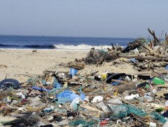 Далайн уснаас 1.8 их наяд хог цуглуулах 20 сая ам.долларын цэвэрлэгээний ажил боллоо