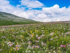 Энэ зуны цаг агаарын төлөв