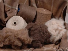 Европын зах зээлд 7200 бараа бүтээгдэхүүн нийлүүлэх эрх олгожээ