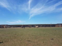 Байгалийн нөөц газар, отрын бүс нутгийг чөлөөлөхийг шаардав