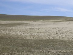 Бэлчээрийн 60 хувь нь доройтжээ