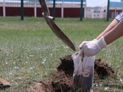 Цэнгэлдэх хүрээлэн, морь барианы газруудаас хөрсний дээж авчээ
