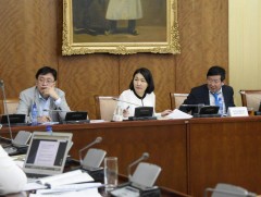 Үндсэн хуульд оруулах нэмэлт, өөрчлөлтийн төслийн эхийг баригчийг мэдээлэл, мэргэжил арга зүйн тус..