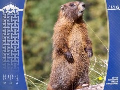 Баян-Өлгий аймгийн хоёр иргэн тарваган тахал өвчнөөр өвчлөөгүй болох нь тогтоогджээ