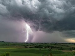 Говь-Алтай аймгийн Алтай сумын нутагт аянга бууж 112 бог мал хорогдлоо