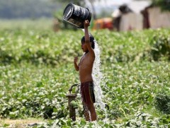 Энэтхэгт хэт халалтаас болж 100 гаруй хүн амиа алджээ