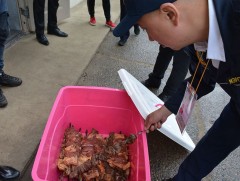 Төв цэнгэлдэх хүрээлэнд хуушуур, худалдааны 400 цэг ажиллуулна