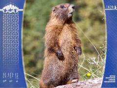 Хууль бусаар тарвага агнахгүй байхыг сэрэмжлүүллээ