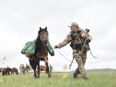 “Аравт” олон улсын морин цэргийн уралдааны өмнөх бэлтгэл эхэллээ /фото/