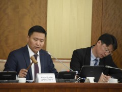 “Тогтолцоо” гэсэн үгийг төслөөс хасах зарчмын зөрүүтэй саналыг гишүүд санал нэгтэй дэмжлээ