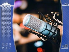 Боржигтын говь 