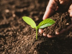 Хөрс хамгаалах, газрын доройтлыг  бууруулах үндэсний хөтөлбөр баталлаа