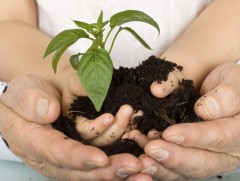 Сонирхолтой биологи