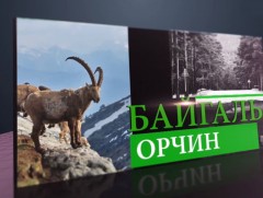 Улсын хэмжээнд 1281 нөхөрлөл ой хамгаалж байна 