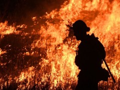 ОХУ-д гарсан ойн түймрийн улмаас таван бүс нутагт онц байдал зарлалаа 