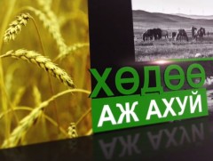 Адууны нийлүүлгийн өвчний үүсгэгчийг Монгол эрдэмтэд гаргаж авчээ