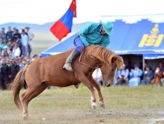 Уран уургач, бугуйлч, эмнэг сургалтын УАШТ боллоо