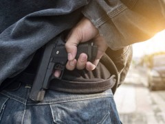 Цагаан ордны тэргүүн галт зэвсгийн хуулийг чангатгахаар төлөвлөж байна