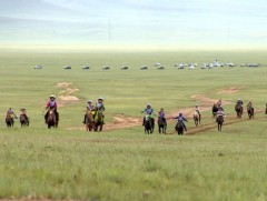 “Алтайн бахархал” наадам энэ амралтын өдрүүдэд болно