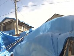 “Тапа” хар салхинд Японы 30 иргэн өртжээ 