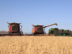 Хөвсгөл аймгийн ургац хураалт 47 хувьтай байна