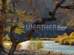 Улаанбаатарт өдөртөө 21 хэм дулаан