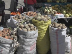 Хүнсний ногооны хэрэглээний 40 хувийг дотоодоос хангана 