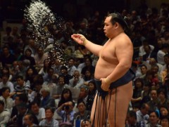 Тэргүүлэгчийн эгнээнд дөрвөн бөх бичигдэж байна