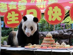 Хамгийн хөгшин хулсны баавгай 37 нас хүрэв