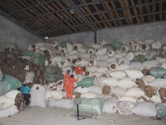 Ноосны урамшууллыг килограмм тутамд 1500-2000 төгрөгөөр тооцно