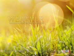 Улаанбаатарт өдөртөө 17 хэм дулаан