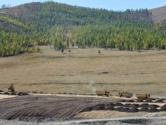 Засгийн газрын даалгавраар 110 га талбайд нөхөн сэргээлт хийжээ