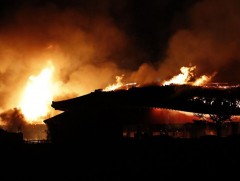 Японы түүхэн шилтгээн галд автжээ  