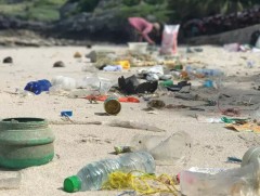 Япон, Тайландын эрдэмтдийн баг далайн хог хаягдлыг судална 