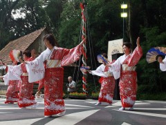 Бразил улс цагаач Япон иргэдийнхээ тоогоор дэлхийд тэргүүлдэг байна