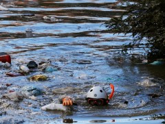 “Хагибис” хар салхины хор хөнөөл Японы эдийн засагт удаан хугацаанд нөлөөлнө