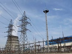 Нэг өрх сард дунджаар 30-40 мянган төгрөгийг зарцуулдаг