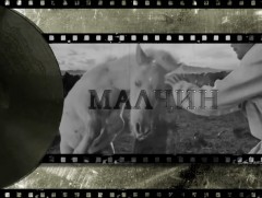 Үлийн цагаан оготнотой хэрхэн тэмцэх вэ...