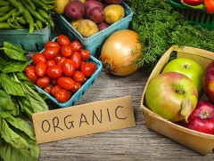 Монгол Улсад 54 нэрийн органик хүнс худалдаалж байна