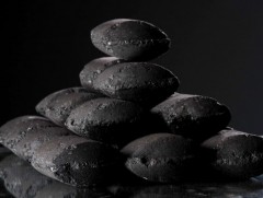 Ж.Батбилэг: Шахмал түлш тоосонцор бага ялгаруулдаг учраас үнс ихтэй байдаг