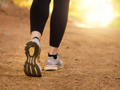 Хөгшрөлтийн үйл явцыг тухайн хүний алхалтын хурдаар тодорхойлох боломжтой гэв