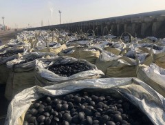 Шахмал түлштэй холбоотой асуудлаар мэдээлэл хийлээ