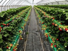 Д.Цогтсайхан: Хүн хөдөлмөрлөхөд нас хамаарахгүй...