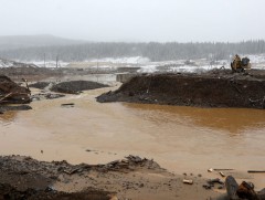 Оросын бүх даланд хяналт шалгалт хийнэ 