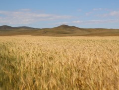 Атрын 60 жилийн баатруудыг алдаршуулъя: Ц.Аюурзана