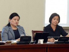 Улсын тэмдэгтийн хураамжийн тухай хуульд өөрчлөлт оруулах тухай хуулийн төслийг хэлэлцэхийг дэмжлээ