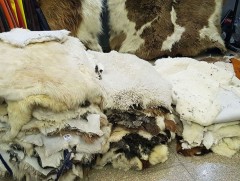 “Экспорт Монгол-2019” олон улсын бизнесийн үзэсгэлэн худалдаа болно 