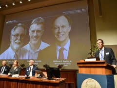 Нобелийн шагналын энэ оны анхны эзэд тодорлоо