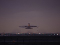 Японд хар салхины улмаас онгоцны нислэгүүд цуцлагдлаа